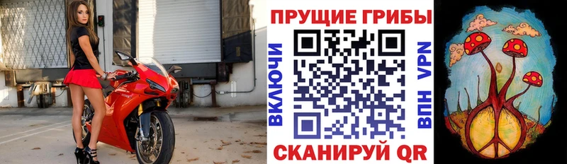 Галлюциногенные грибы мухоморы  как найти закладки  Красный Холм 